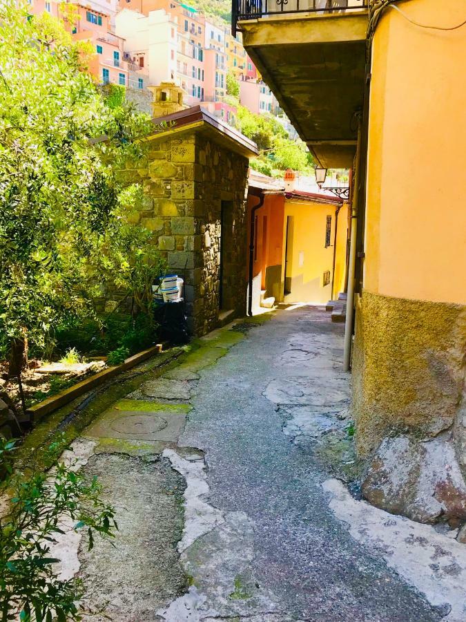 La Chiocciola Villa Manarola Luaran gambar